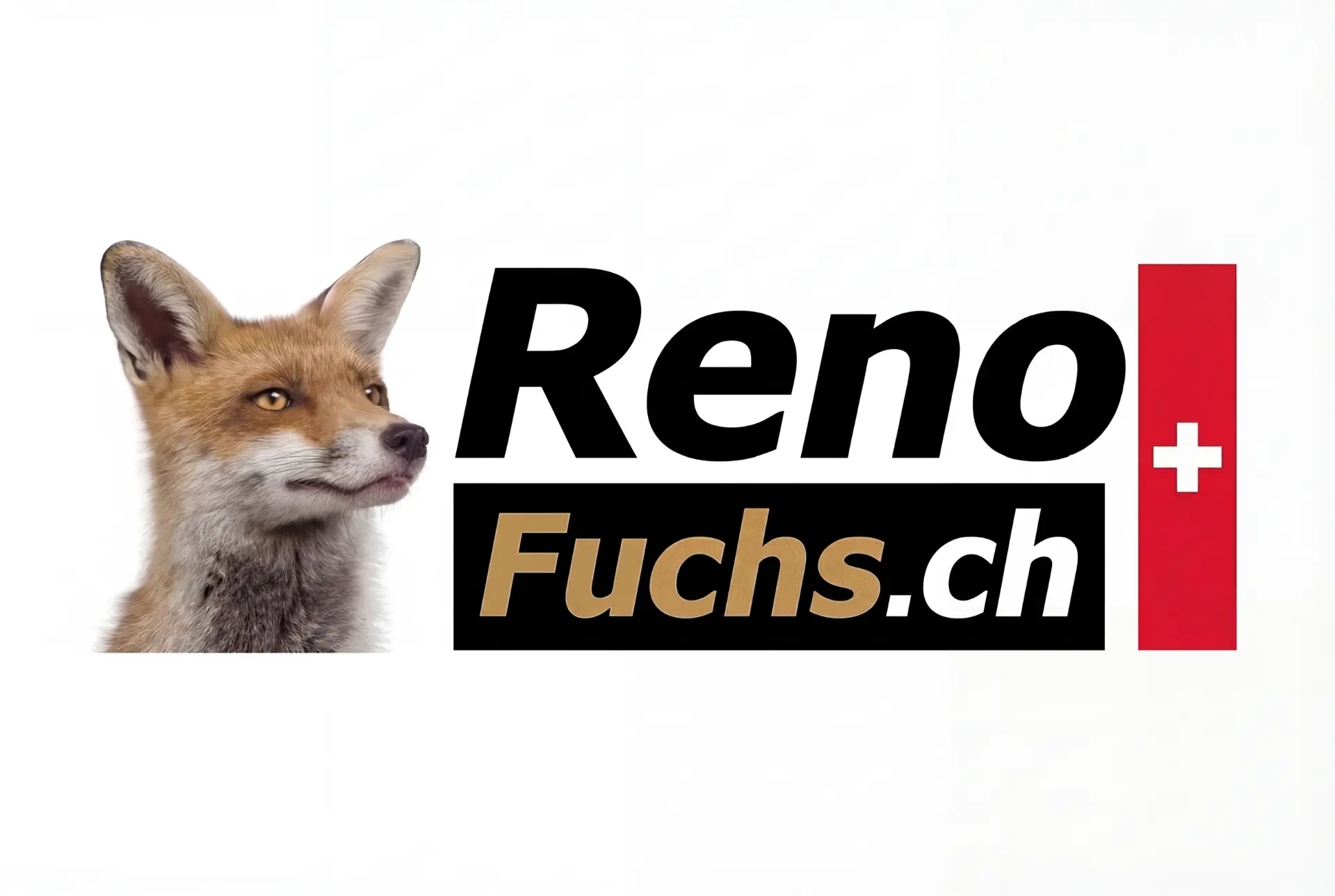 Renofuchs logo